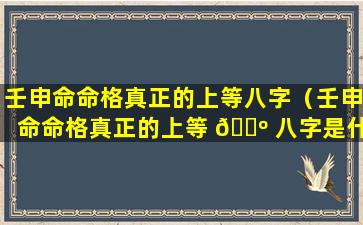 壬申命命格真正的上等八字（壬申命命格真正的上等 🌺 八字是什么）